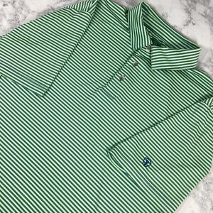 Pro Tour Coolplay Polo Golf Shirt Mens M Striped Lightweight Green Blue